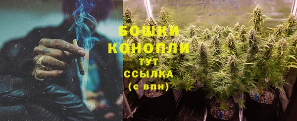 соль ск Саяногорск