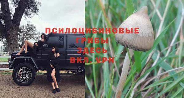 меф Сатка