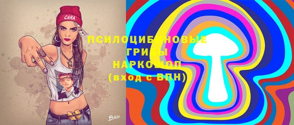 прущая мука Богородицк