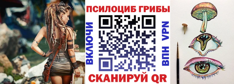 omg маркетплейс  Новомичуринск  Галлюциногенные грибы GOLDEN TEACHER 